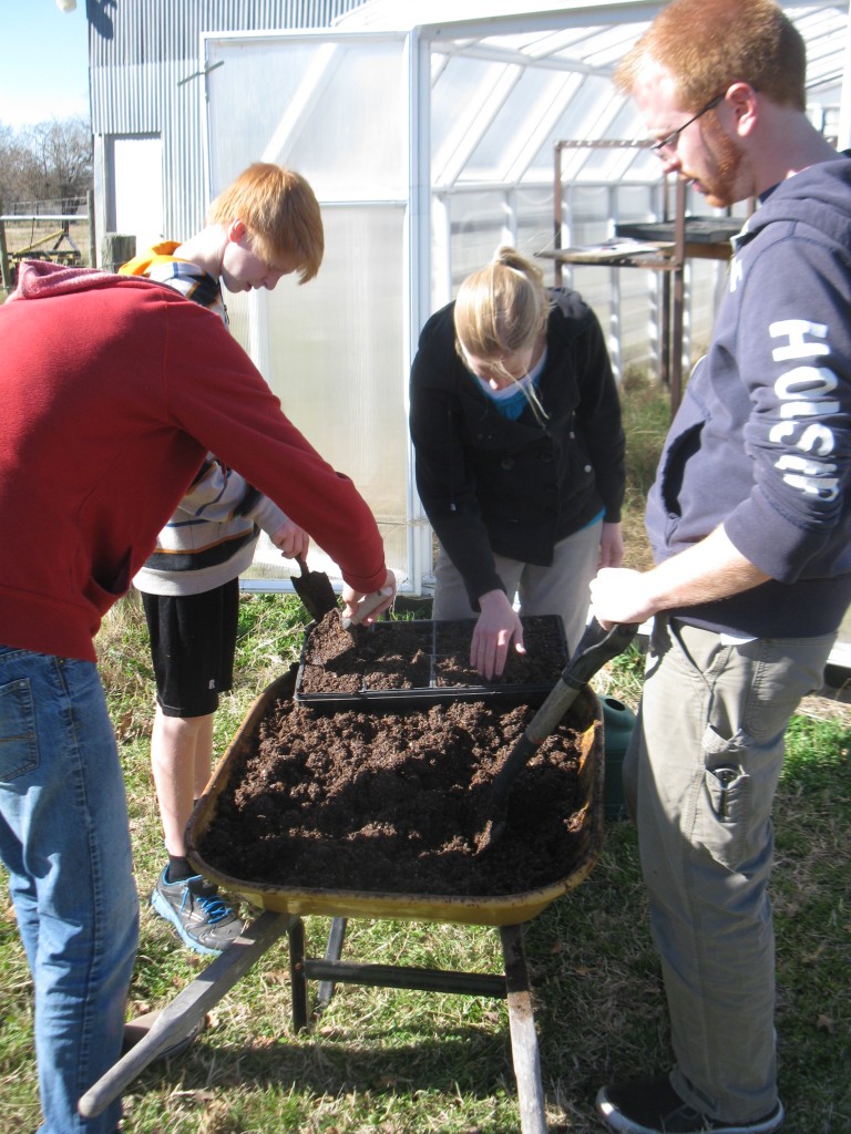 Filling seed trays with our custom starter soil mix