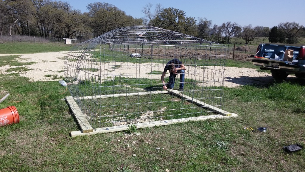 Main frame complete for first new chicken coop