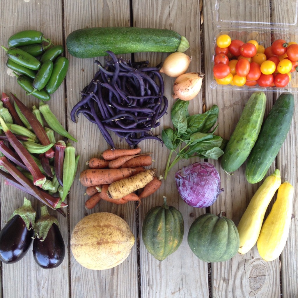 Blessing Falls Farm Share Summer Week 2. Top: Peppers, zucchini, beans, onions, tomatoes Middle: okra, carrots, basil, cabbage, cucumbers  Bottom: eggplant, cantaloupe, acorn squash, summer squash