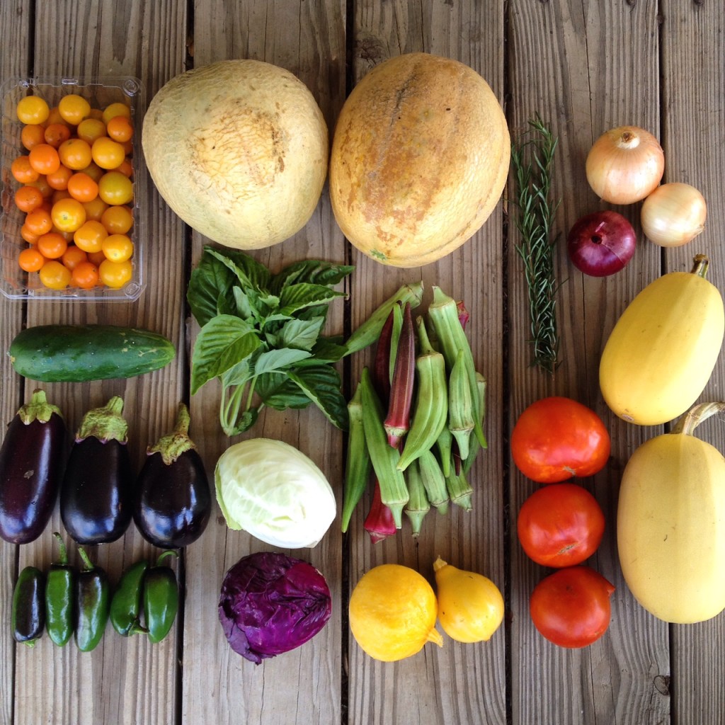 Blessing Falls Farm Share, Summer 2016 week 3 (clockwise from top left): Cherry tomatoes, cantaloupe, Rosemary, onions, cucumber, basil, okra, eggplant, green cabbage, jalapeños, red cabbage, summer  squash (lemon), slicing tomatoes, winter squash (spaghetti)
